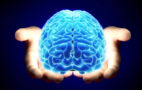 Человеческий мозг в руках